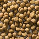 Greenheart-Premiums hondenvoer Anti Allergy 4 kg